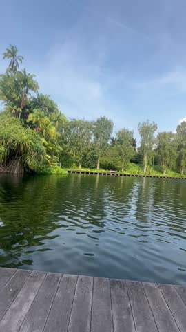 Beautiful panoramic view of the tranquil lake surrounding Supertree Grove at Gardens by the Bay, Singapore. Crystal-clear water reflecting iconic futuristic trees and lush tropical greenery under daylight.