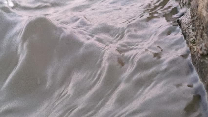 Gentle water ripples forming across the surface before sunrise, creating a peaceful scene that captures the natural beauty and tranquility of the early morning atmosphere