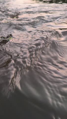 Gentle water ripples forming across the surface before sunrise, creating a peaceful scene that captures the natural beauty and tranquility of the early morning atmosphere