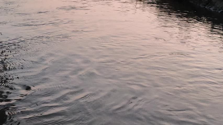 Gentle water ripples forming across the surface before sunrise, creating a peaceful scene that captures the natural beauty and tranquility of the early morning atmosphere