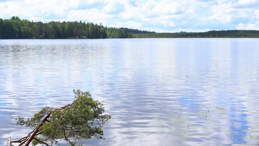 Driving along a picturesque lake surrounded by pine forests towards the sun,