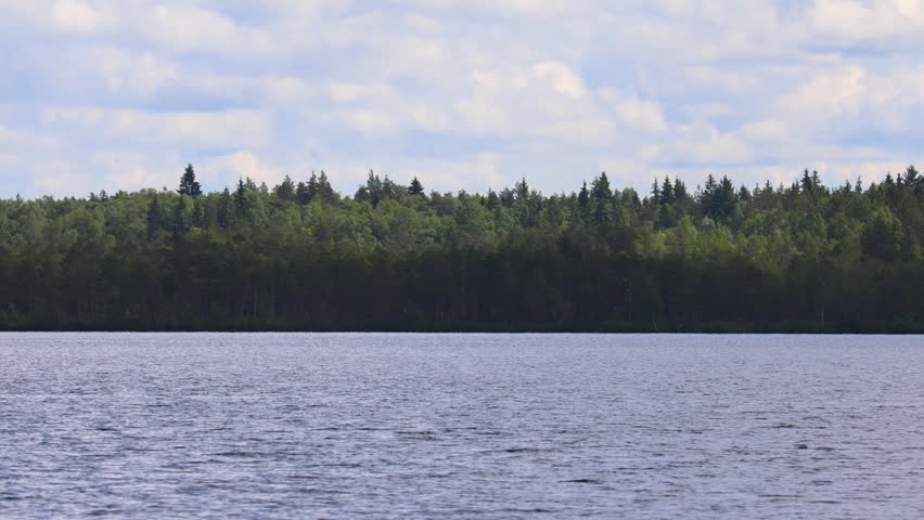 Driving along a picturesque lake surrounded by pine forests towards the sun,