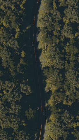 Overhead shot of a narrow two-lane asphalt road curving vertically through a lush deciduous forest. Patches of sunlight break through the tree canopy onto