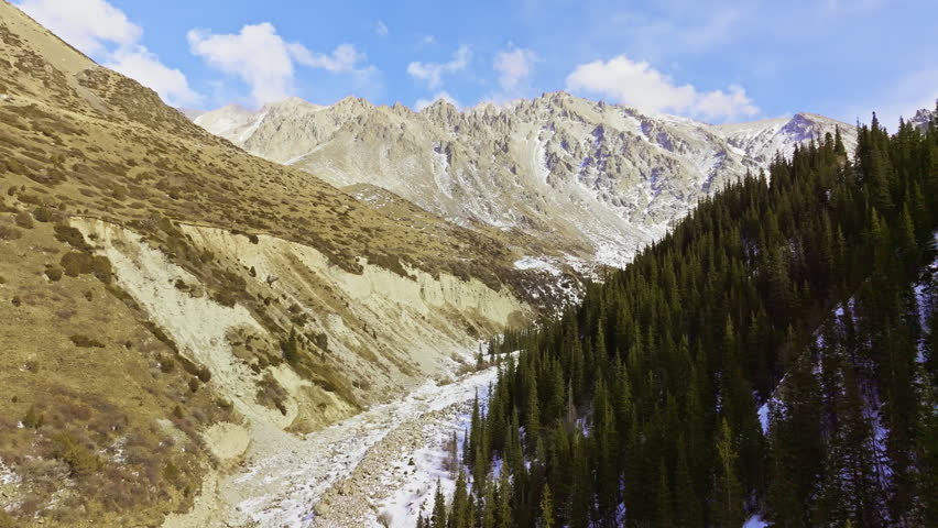 Serene mountain landscape features coniferous forest and rocky riverbed. Ascending drone view.