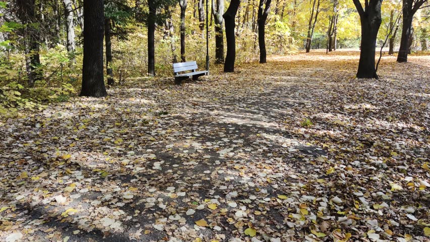 Amazing Autumn view of South Park in city of Sofia, Bulgaria