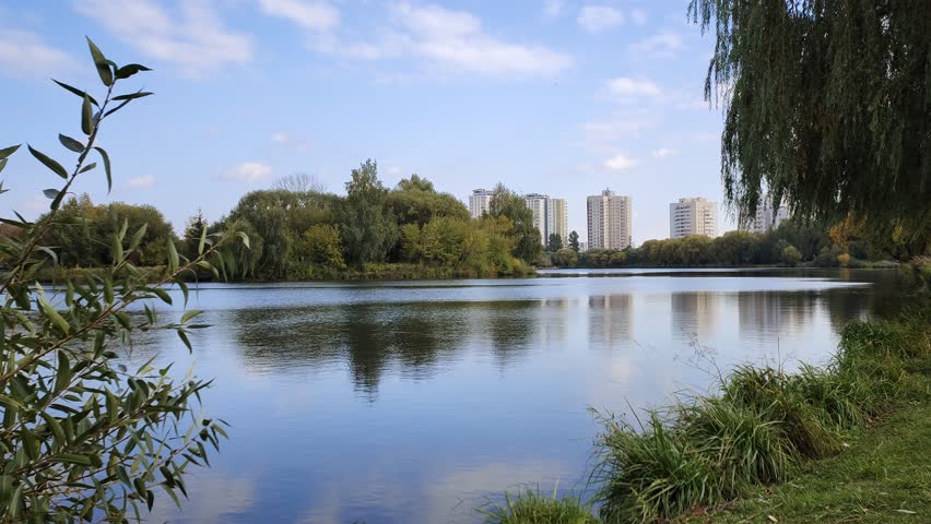 Bushes and willow trees with branches bent over the calm water grow on the grassy shore of the lake. Further on there are residential buildings and trees with yellowed leaves. Sunny autumn weather and blue sky with clouds