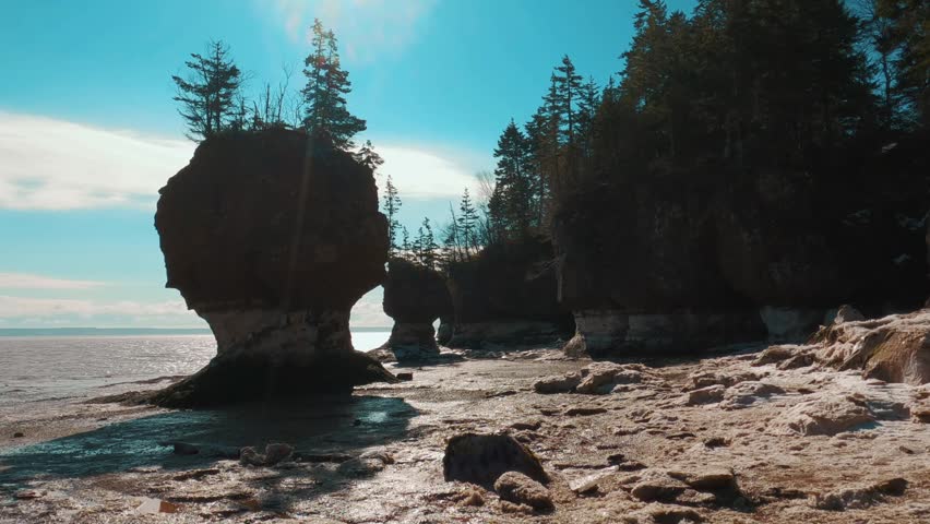 The rock formations with vegetations at Hopewell Rocks Provincial Park, Bay of Fundy under blue sky in Hopewell Cape, New Brunswick, Canada