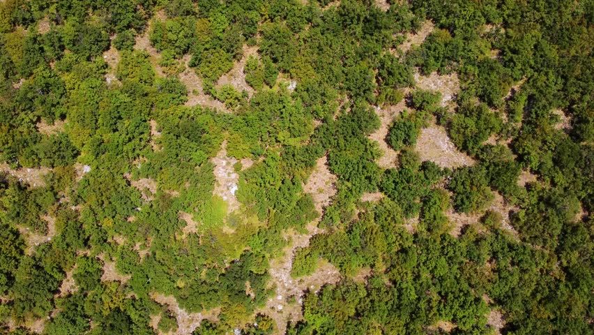 Aerial tracking shot gliding over forested hillside revealing limestone cliff face in mountain canyon during afternoon.
