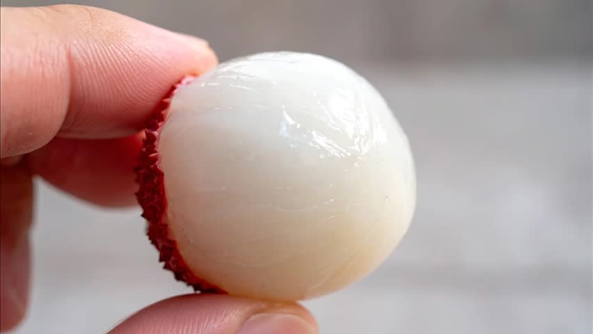 Hand holding peeled lychee fruit closeup