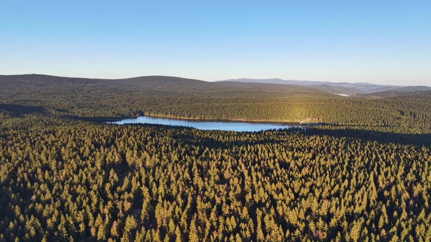 Golden hour lake glow over pine forest, warm sunlight and long shadows on shimmering blue water, atmospheric