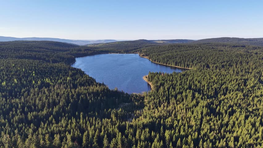 Overhead lake overlook above dense forest, sweeping shoreline and distant hills, warm sunlight creating