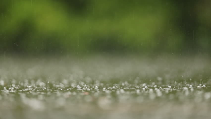 Raindrops splash on a wet surface outdoors with blurred green foliage in background