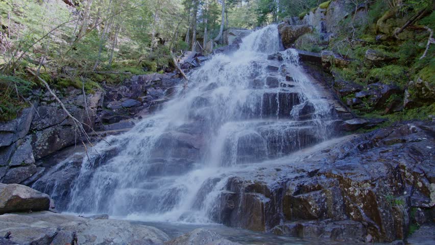 View of fresh water cascading down steep rocky steps surrounded by forest vegetation at Cloudland Falls in Lincoln, United States