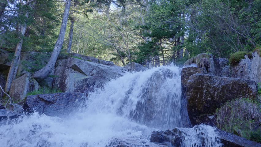 Close-up view of water flowing rapidly over dark rocks surrounded by green forest at Cloudland Falls in Lincoln, United States