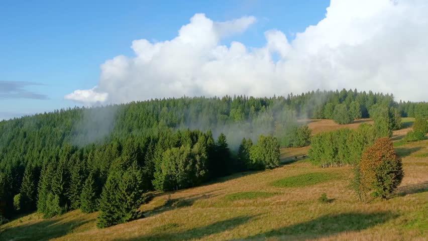 Time-lapse of fog rising over forest under cloudy sky.
