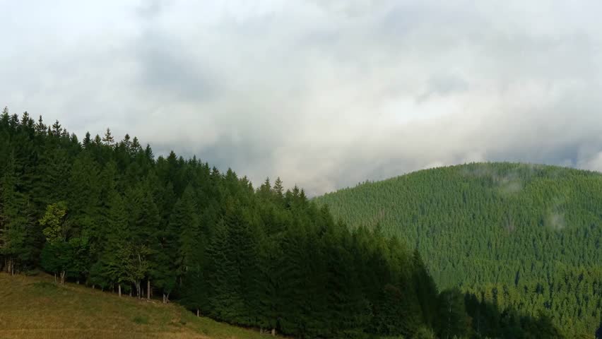 Time-lapse of dense clouds moving over green mountain forest.