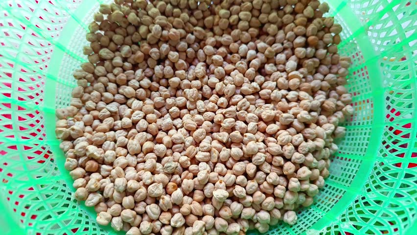 Close up view of raw dried chickpeas Cicer arietinum piled inside a green plastic colander basket used in traditional cooking from Guatemala.