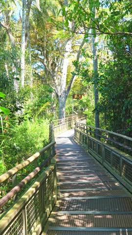 Personal perspective walking along a metal footbridge surrounded by lush green foliage and tall trees in the iguazu national park rainforest