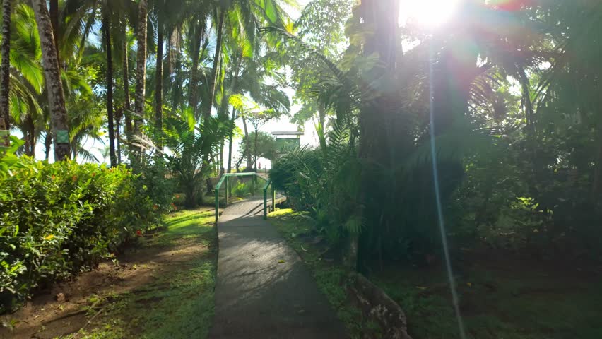 Beautiful first-person view walking along a concrete path through a lush tropical garden with palm trees, crossing a small bridge and arriving at a sunny beach with a lifeguard tower