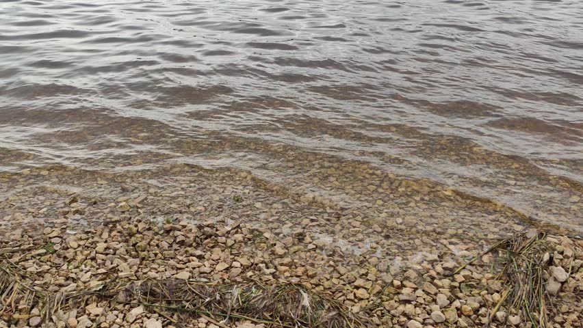 Birds gather along a broad river with rocky beach.
