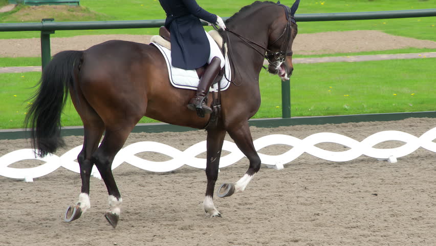 Perfect Horse Grace. A rider in a traditional costume gracefully rides a pedigreed horse. Slow Motion