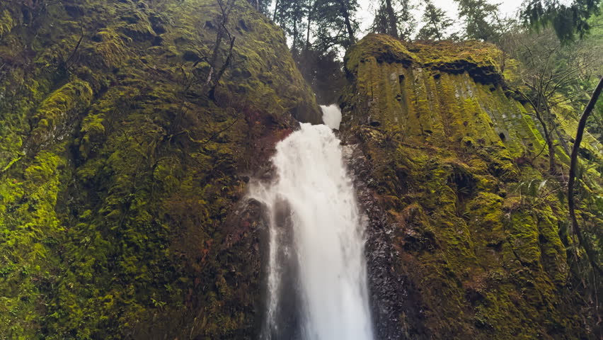 Tall waterfall plunging between moss covered basalt cliffs in lush forest gorge, tilt down, Dry Creek Falls Oregon