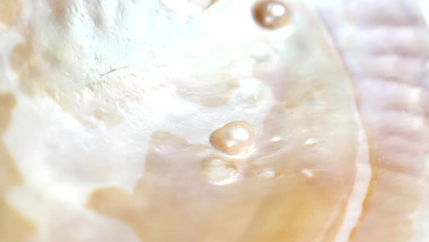 mother of pearl texture in soft beige tones and organic pattern with highlights and shimmering light. 4k footage