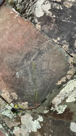 Close-up of ancient petroglyphs carved into a large rock in Ongudaysky District, Republic of Altai, Russia