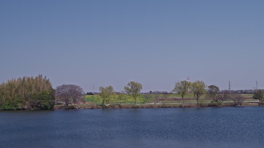 Bare and budding trees dot a wide riverbank opposite a bright green field. Power pylons and a distant water tower punctuate the clear blue skyline above calm open water.