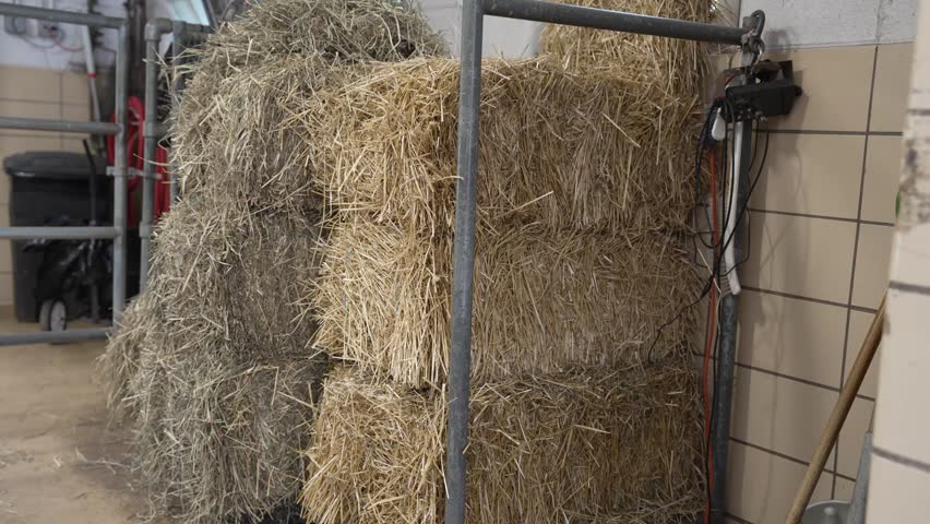 High-quality 4K footage of stacked rectangular straw bales stored in a modern dairy barn. The golden straw is clean and densely packed, commonly used for animal bedding in livestock farming. This close-up shot highlights agricultural storage, farm infrastructure, and daily farming operations in a stable environment. 4K, 30fps.