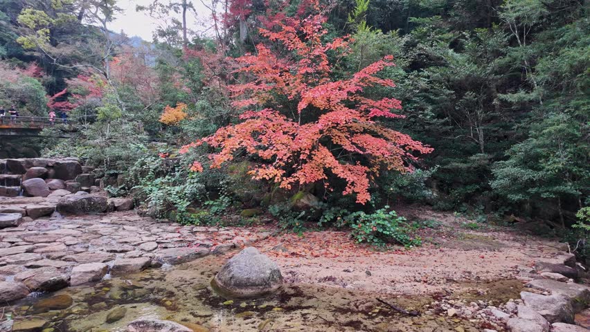Scenery of a mountain path with autumn foliage