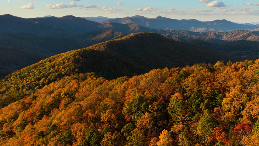 Panoramic view of colorful autumn mountain forest glowing at sunset. Vibrant seasonal foliage creates tranquil natural landscape with rolling hills.