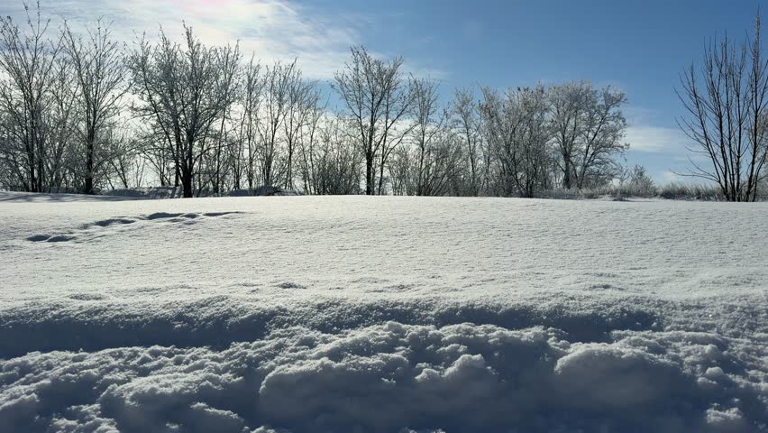 Winter landscape with frozen trees and deep snow.