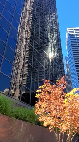 View of the glass facade of the Columbia Center reflecting the sky and surrounding buildings, with an orange-leafed tree in the foreground in Seattle, Washington, United States.