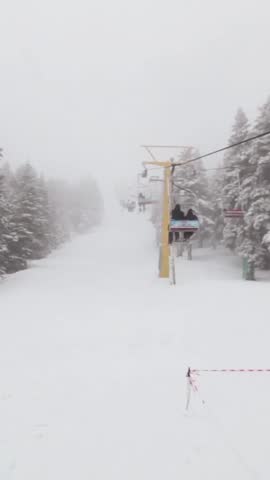 A ski lift travels through a snowy forest on a foggy day with snow-covered trees on either side