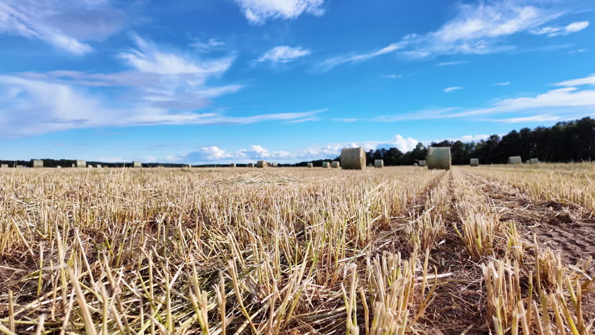 Cut stubble field and hay bales revealed under open sky, Maine farm
