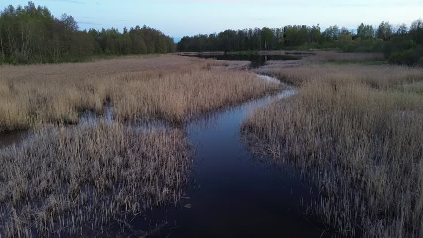 Drone footage capturing a winding water channel through marsh vegetation.