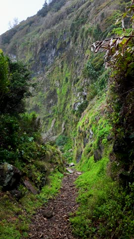 Scenic hiking trail descending beneath towering volcanic cliffs toward the remote shoreline of Baia de Alagoa on Flores Island Azores Portugal
