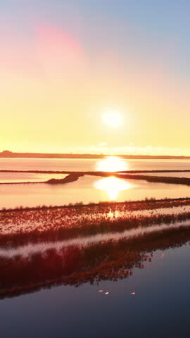 Aerial view of wetland channels at sunset, Bulgaria. Golden sun reflects across salt marsh water and reed covered embankments. Vertical video.