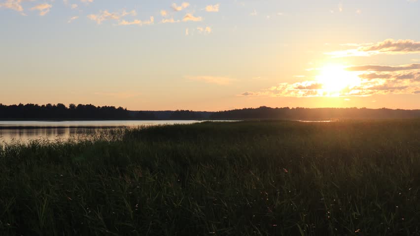 evening summer sunset on the river