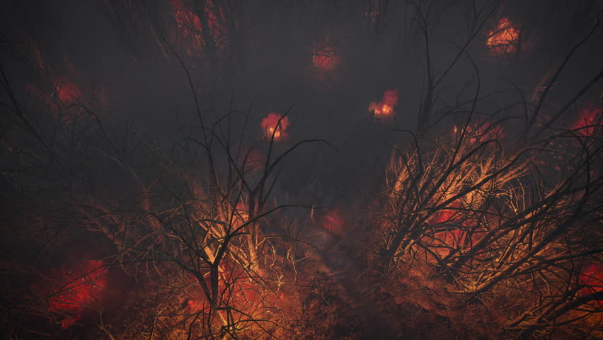 A dramatic aerial flyover shot above a dense forest canopy engulfed in raging wildfires with glowing orange flames and thick smoke at night.