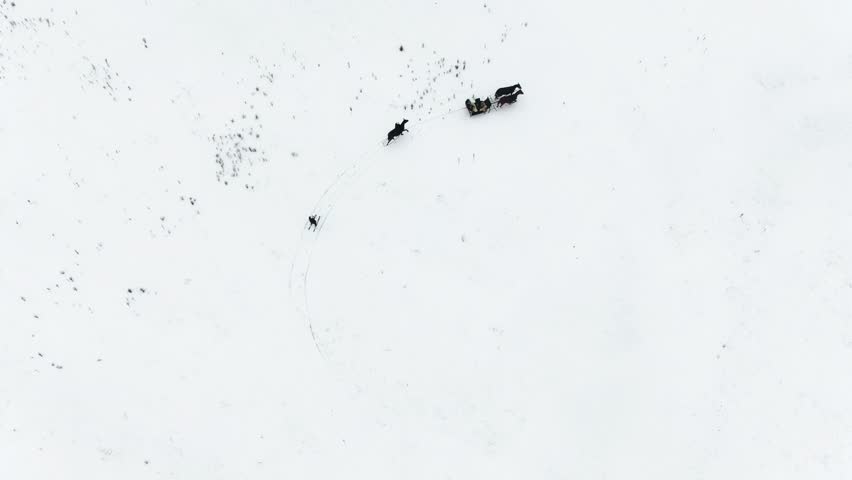 Horse-drawn carriage moving through a snowy field with two riders following on horseback