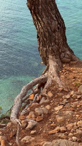 Vertical view of stunning Mallorca coastline with turquoise Mediterranean Sea and rugged mountains. Spectacular island landscape, natural beauty, scenic travel and summer vacation