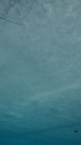 Vertical footage, Underwater view of ice drifting downstream. Texture of solid ice on the river surface