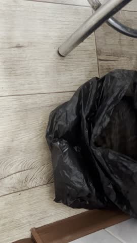 Curious tabby kitten hiding inside black plastic trash bag on floor