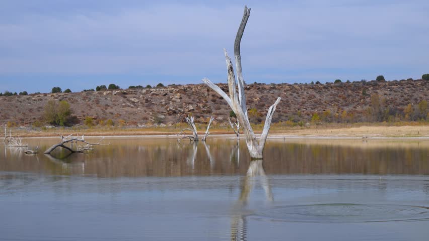 Lake Carl Etling located within Black Mesa State Park in Oklahoma, USA.The scene shows dry, dead trees standing in a desiccating lake, which is a common sight in this area during autumn. Black Mesa State Park, USA.