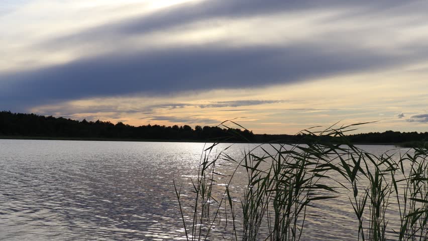 evening sunset on the river on a summer day