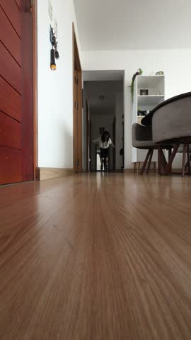 A smiling teenage girl inline skates along a wooden home corridor. A family dog walks by while a man peeks from a doorway to pet the animal in a cheerful scene