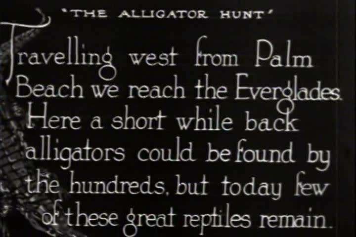 1920s - Men hunt alligators in the Everglades in 1920.