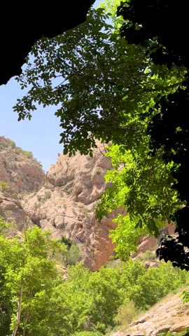 Vertical scenic cave in mountain tree forest gorge valley canyon located in grand USA Georgia natural attraction adventure hiking nature travel summer landscape outdoors wilderness cliff trail tourism